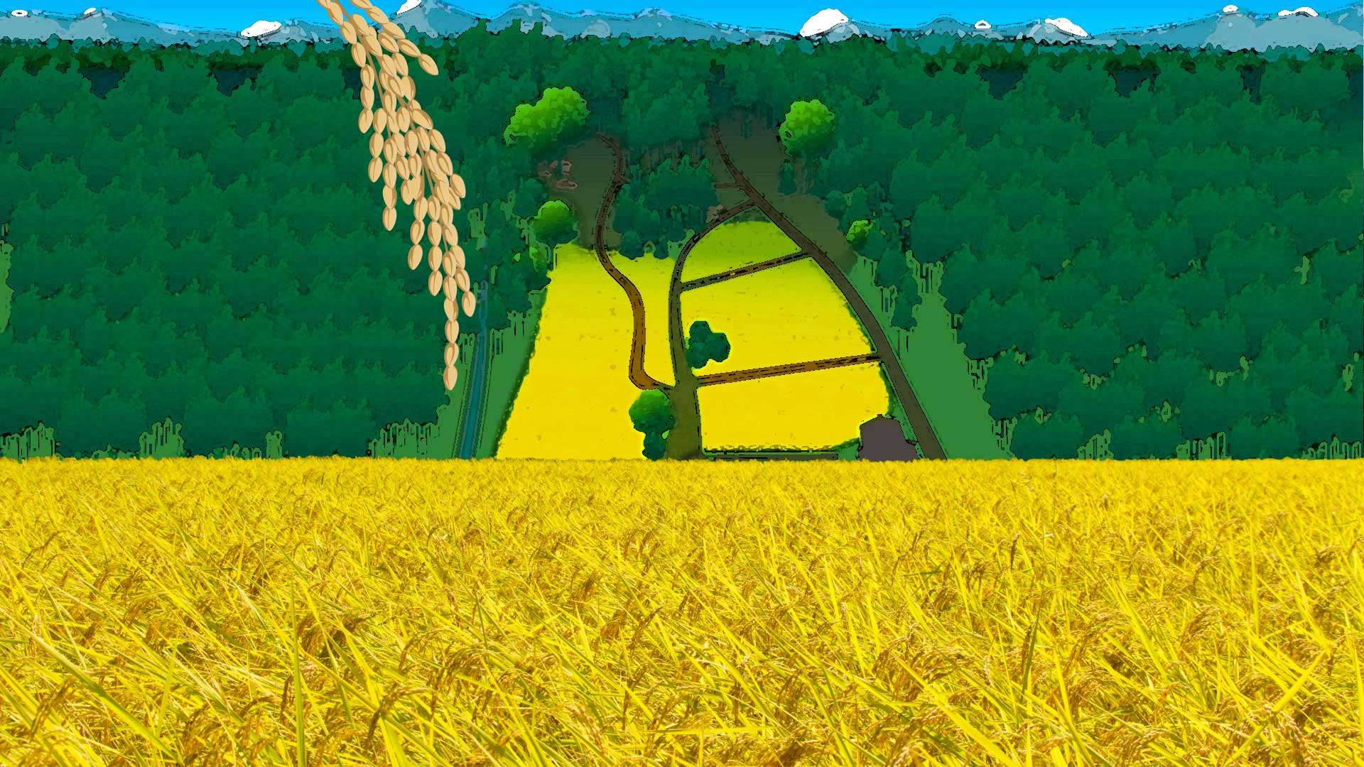 bg