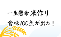 一生懸命米作り